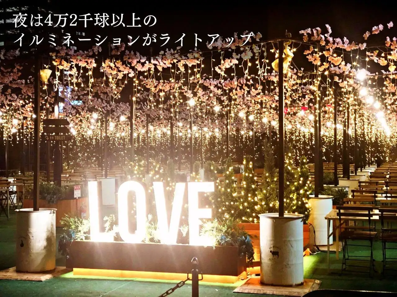 京王BBQガーデン  - 画像2